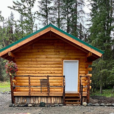 Carlo Creek Cabins Villa Denali Park Екстериор снимка