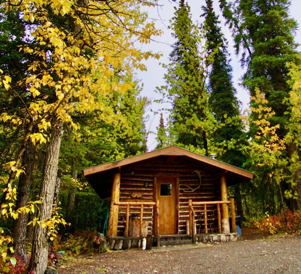 Carlo Creek Cabins Villa Denali Park Екстериор снимка