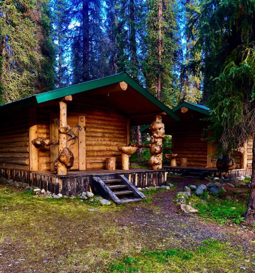 Carlo Creek Cabins Villa Denali Park Екстериор снимка