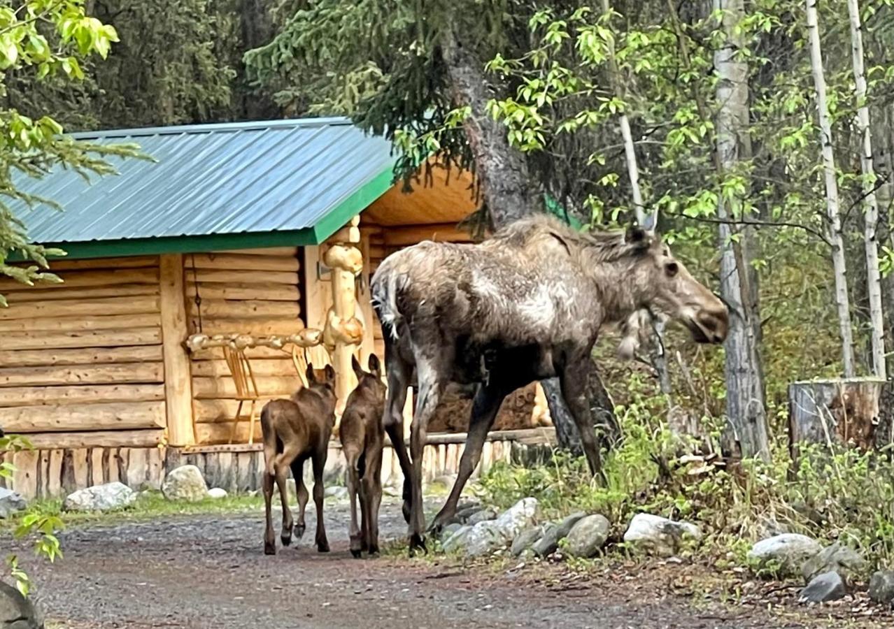 Carlo Creek Cabins Villa Denali Park Екстериор снимка