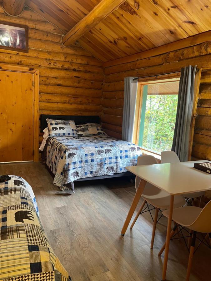 Carlo Creek Cabins Villa Denali Park Екстериор снимка